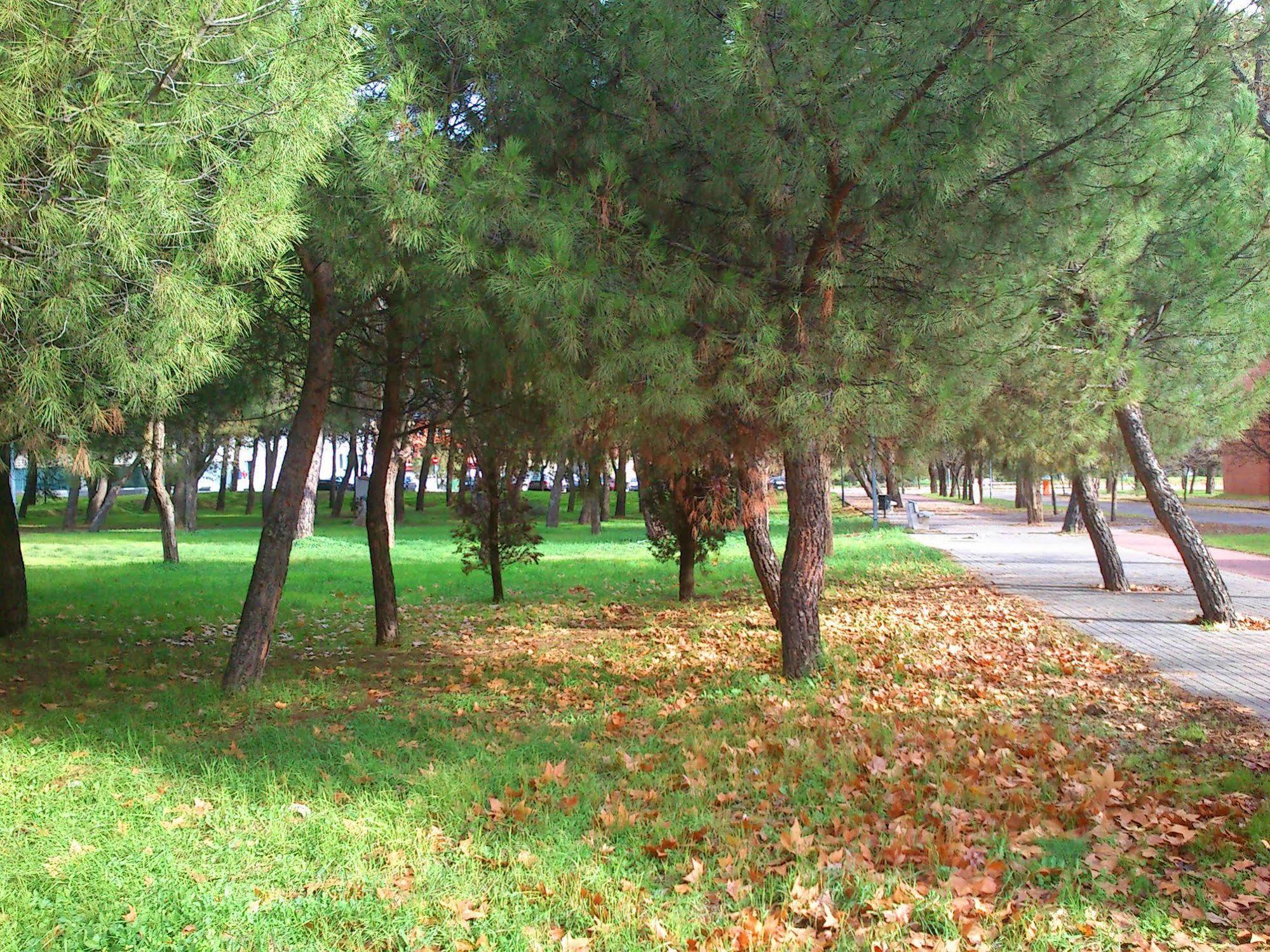 Residencia Universitaria Resa Giner De Los Rios Alcalá de Henares Exterior foto